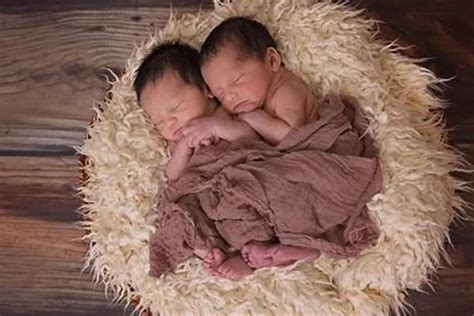 2020鼠年2月出生的双胞胎男孩女孩起名字 超吉利-周易起名-国学梦