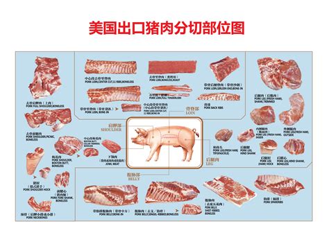 五花肉是猪的哪一块，跟里脊肉比价格怎么样？ - 知乎