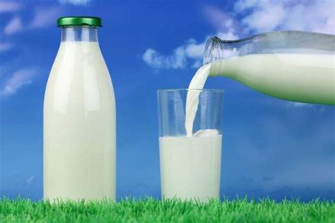 喝牛奶对女性有什么好处？什么时间喝比较好？