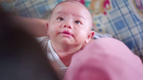 新生儿母乳喂养—高清视频下载、购买_视觉中国视频素材中心