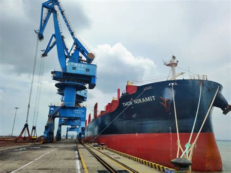 莆头港口成功接卸开港迄今最 大原木货轮-中国木业网