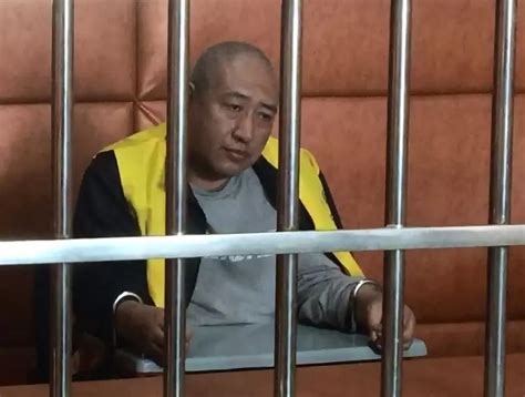 陕西榆林埋母案一审宣判：被告犯故意杀人罪获刑12年_手机新浪网