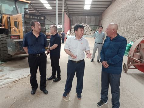 隆化县高质量发展集中开工项目12个、总投资178.5亿元凤凰网河北_凤凰网