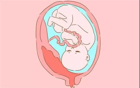 胎动了，宝宝到底在妈妈肚子干什么呢？_【禧月荟】国际月子中心