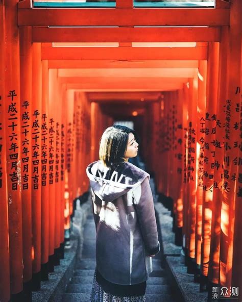 框架构图图片