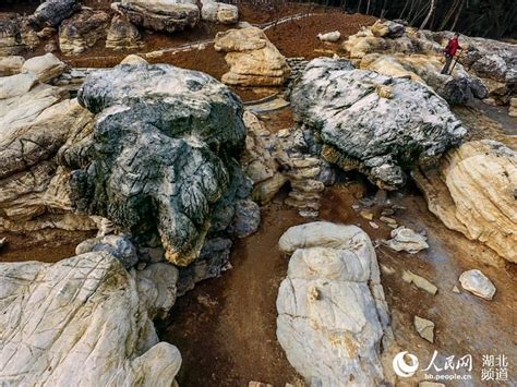 湖北三峡夷陵现罕见“百龟”地质奇观 - 金羊网