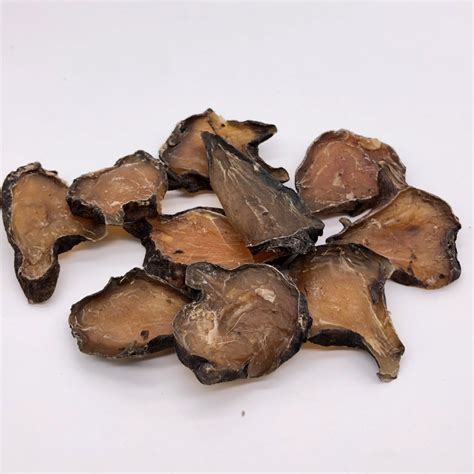生附子大全图片