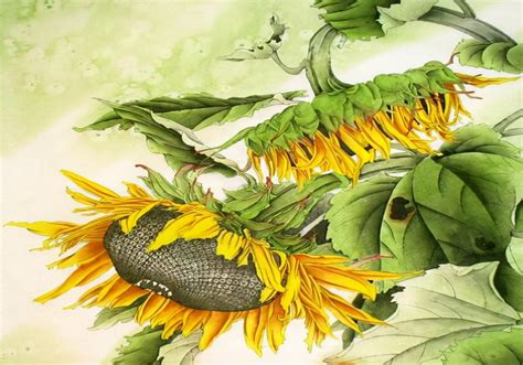 关于向日葵的古诗-百度经验