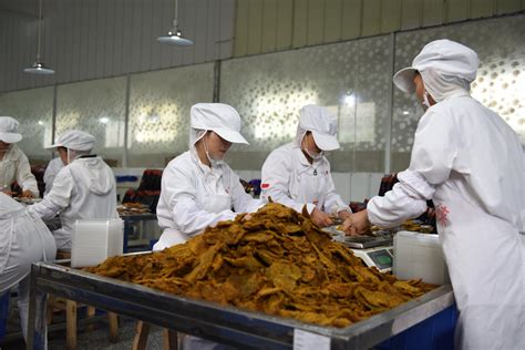 平坝区：金凤徕牛肉制品一季度销售突破2000万元 - 当代先锋网 - 安顺