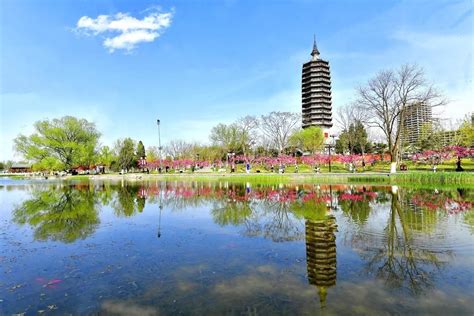 通州城市绿心森林公园 | 北京建院 - 景观网