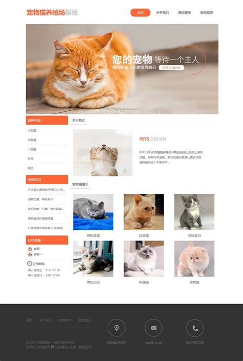 宠物领养网站|网页|门户/社交|yijie65 - 原创作品 - 站酷 (ZCOOL)