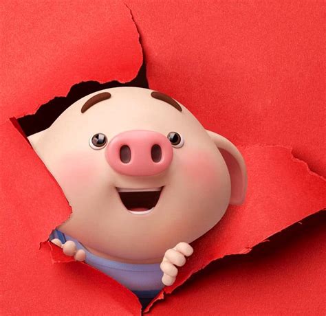 #网红猪 #可爱的小猪猪 #搞笑猪小迈