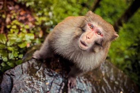 1992年出生2023年属猴人的幸运数字是多少_乔一数字能量