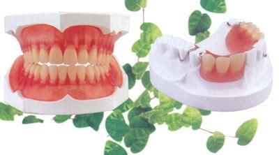 全口活动义齿多少钱一副?测评舒服的满口活动假牙价格6q-3w - 口腔资讯 - 牙齿矫正网