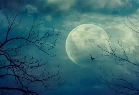 对着月亮说，我爱你|月亮|我爱你|万里_新浪新闻