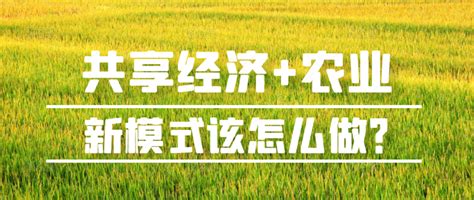 【智慧农业】国外流行的八种新型农业模式值得中国借鉴！ - 知乎