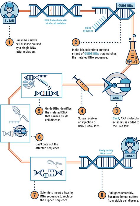基因检测行业发展前景（基因检测行业未来发展趋势）-报告智库