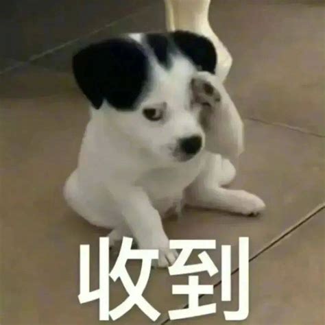 点头表情包图片