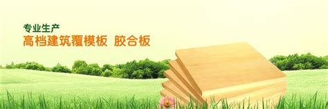 富鹏木业斩获“中国建筑模板十大品牌”-中国木业网