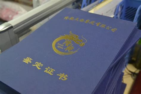 重庆警方破获一起特大文物鉴定养老诈骗案 抓获53人凤凰网川渝_凤凰网