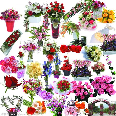 粉色花卉图案矢量素材元素素材PNG格式_设计素材免费下载_VRF高清图片400549621_摄图网