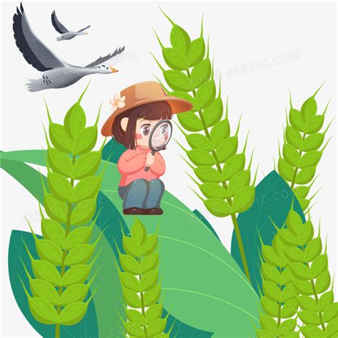 卡通女孩观察植物微景观免抠素材图片免费下载_PNG素材_编号z2ri3e2re_图精灵