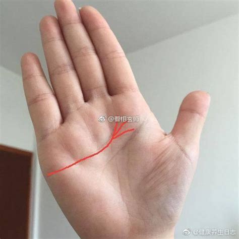 手掌感情线图解图片
