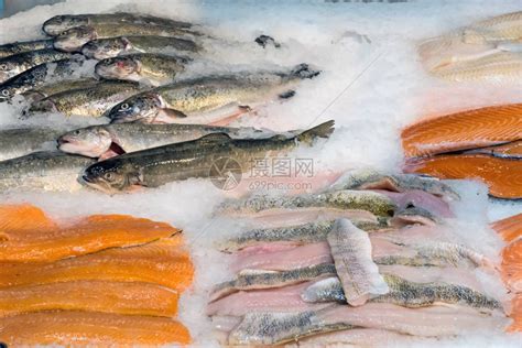 白冰鱼 食堂超市南极冰鱼 多冰南极鱼规格300-400g/条 大约5kg/件-阿里巴巴