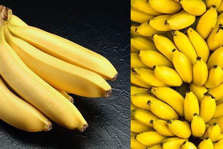【香蕉】【图】香蕉的功效与作用有哪些 帮你治便秘消水肿_伊秀美食|yxlady.com