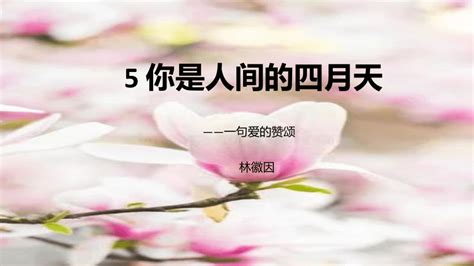 人间四月天剧情介绍（1-20全集）大结局_电视剧_电视猫