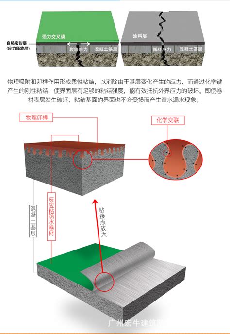 PCM-CL反应粘结型湿铺防水卷材_青龙建材