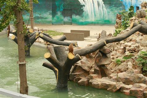 南京红山森林动物园 - 快懂百科