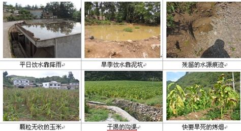 毕节市七星关区海子街村、王张村131户贫困户入股明钧公司，分红发放现场。_毕节明钧玻璃股份有限公司 贵州钢化玻璃 贵州浮法玻璃