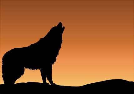 《狼嚎》-高清电影-完整版在线观看