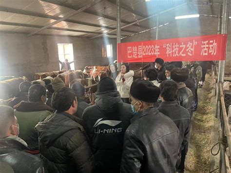 巴楚县开展畜牧养殖技术培训助力乡村振兴-新疆维吾尔自治区科学技术协会