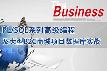 PL/SQL系列高级编程及大型B2C商城项目数据库实战【北风网VIP课程】 - 广州天凯科技