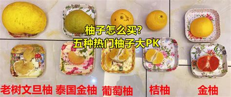 亲测横评 篇六：【买柚子不用愁】5种知名柚子PK横评+科普分类、选购技巧，让你秒变高手_柚子_什么值得买