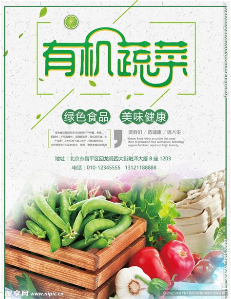 绿色有机蔬菜海报设计图__展板模板_广告设计_设计图库_昵图网nipic.com