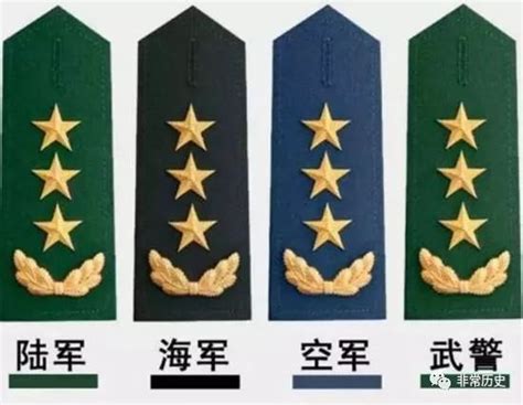 中国近代军衔图集：清末新军、满清禁卫军与北洋陆军