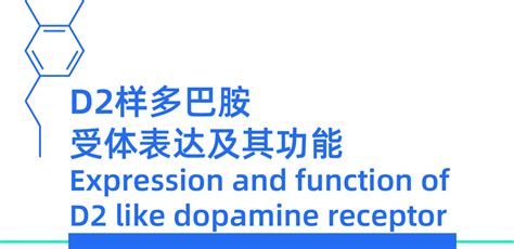 解析快乐的秘密——SWIR成像助力多巴胺释放及传播过程研究-北京星光光技术有限公司