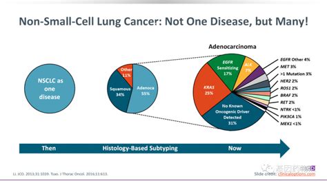 2021年非小细胞肺癌临床试验有哪些及非小细胞肺癌分类类型、靶向治疗_全球肿瘤医生网