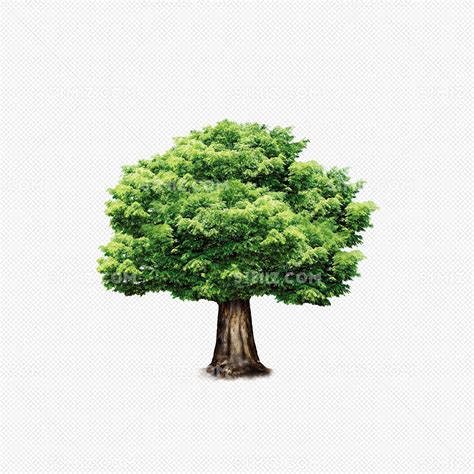 绿色树图片-白色背景下的大树素材-高清图片-摄影照片-寻图免费打包下载