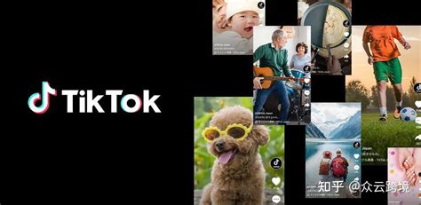 TikTok 营销新手必看，假日季推广可以这么做！ - DLZ123独立站导航 - 跨境电商独立站品牌出海