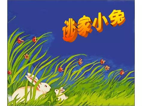 关于兔子的绘本,爬山绘本,派绘本(第10页)_大山谷图库