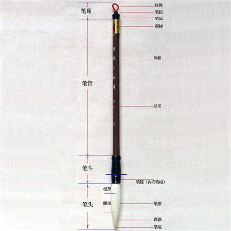 毛笔分类（毛笔有哪些种类）- 1481百科网