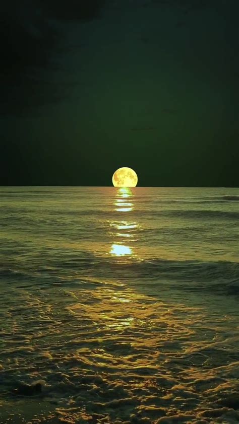 【米蒂风景水彩】“海上生明月，天涯共此时… - 堆糖，美图壁纸兴趣社区