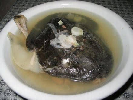 甲鱼焖羊肉汤