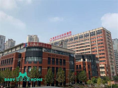 2022重庆市妇幼保健院试管婴儿生男孩费用、成功率一览_宝宝之家