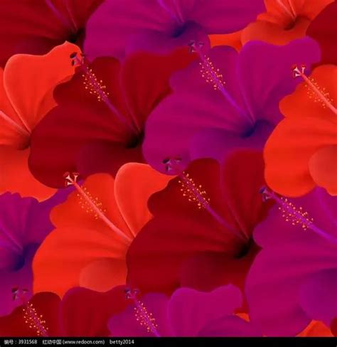 世界上花语最冷漠的花(花语是“高傲、冷漠”的花是什么花？) - 养花经验
