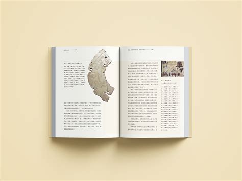 两本历史题材书籍的整体设计|平面|书装/画册|安宁aiden - 原创作品 - 站酷 (ZCOOL)